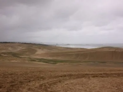 石油